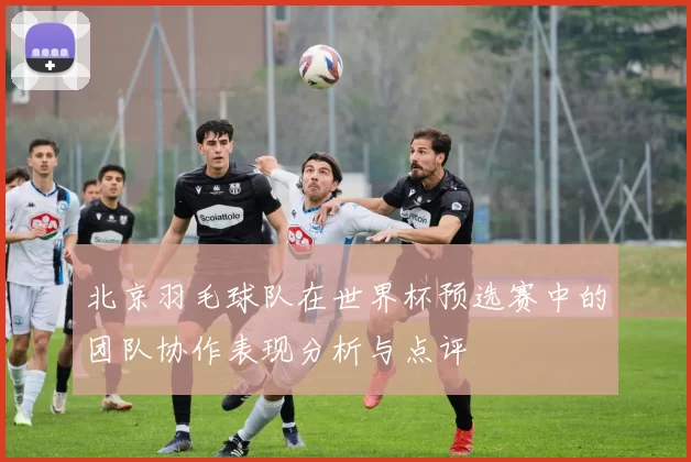 北京羽毛球队在世界杯预选赛中的团队协作表现分析与点评