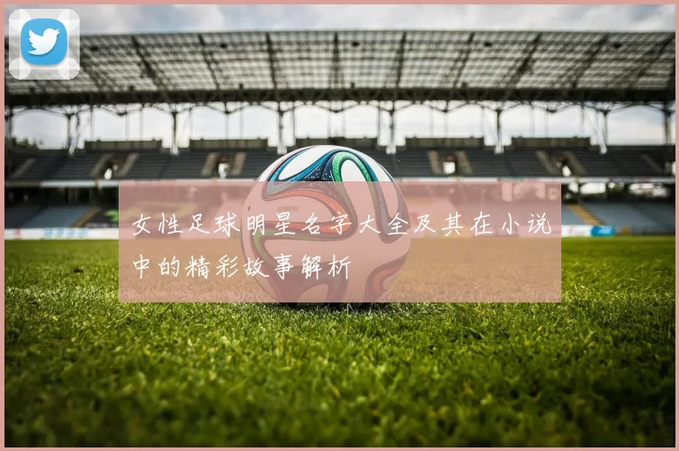 女性足球明星名字大全及其在小说中的精彩故事解析