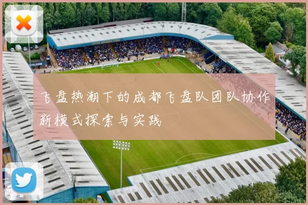 飞盘热潮下的成都飞盘队团队协作新模式探索与实践