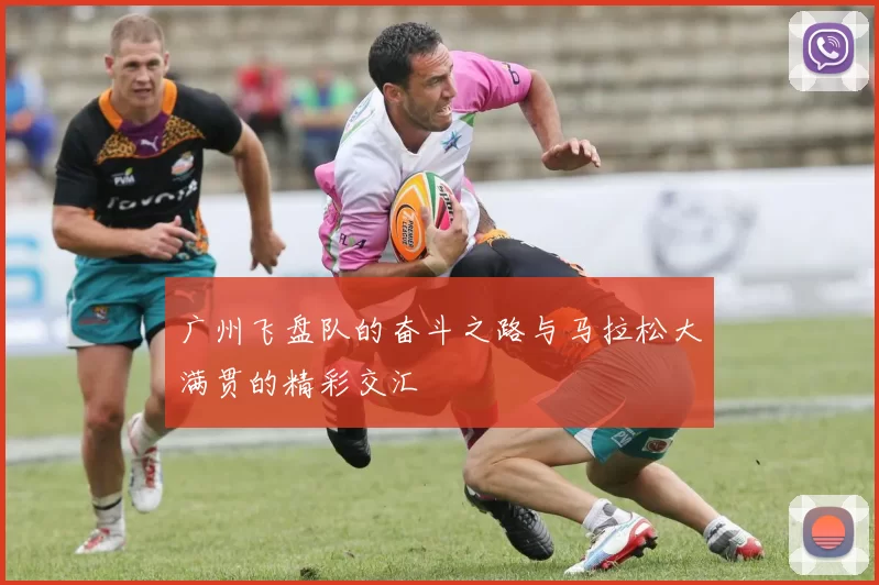 广州飞盘队的奋斗之路与马拉松大满贯的精彩交汇