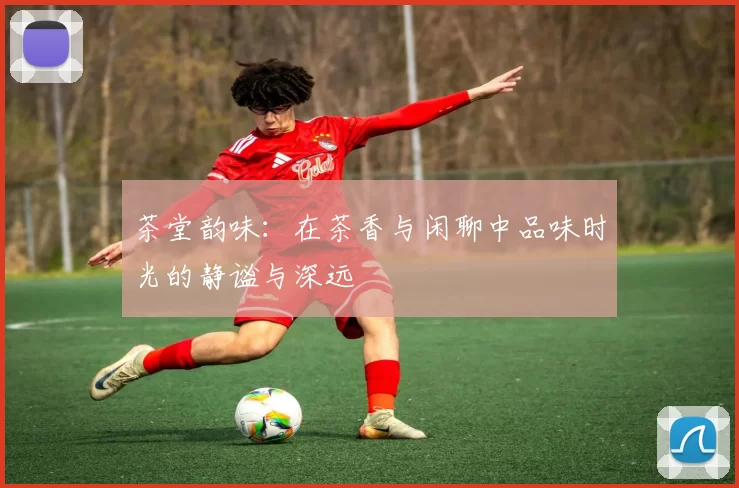 茶堂韵味：在茶香与闲聊中品味时光的静谧与深远