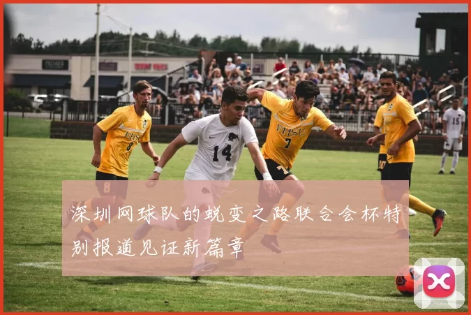 深圳网球队的蜕变之路联合会杯特别报道见证新篇章