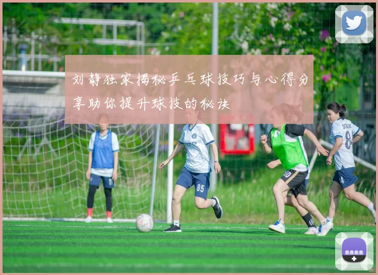 刘静独家揭秘乒乓球技巧与心得分享助你提升球技的秘诀