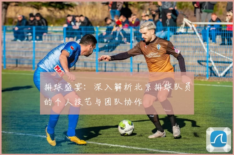 排球盛宴：深入解析北京排球队员的个人技艺与团队协作