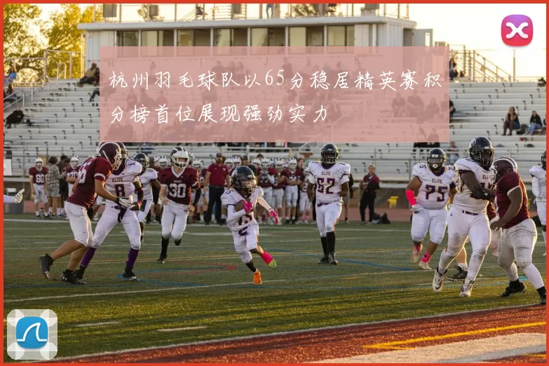 杭州羽毛球队以65分稳居精英赛积分榜首位展现强劲实力