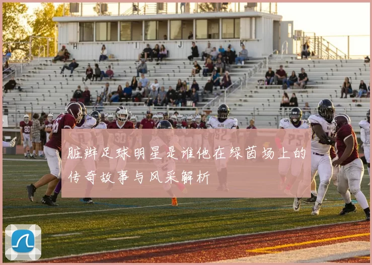 脏辫足球明星是谁他在绿茵场上的传奇故事与风采解析