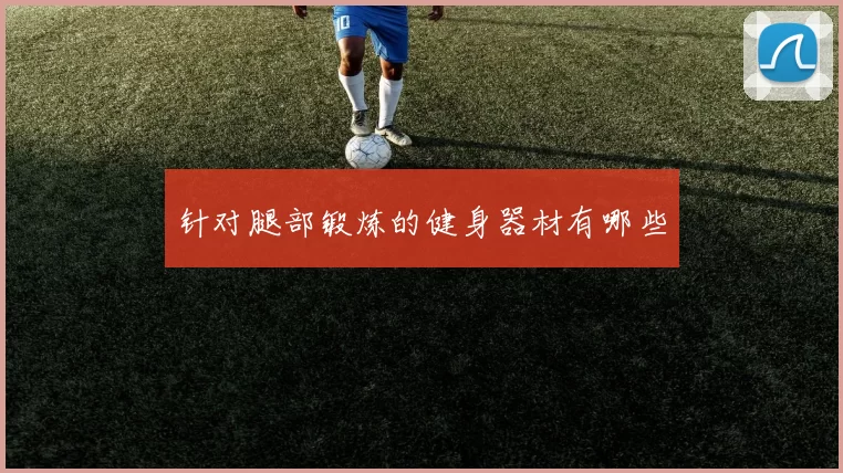 针对腿部锻炼的健身器材有哪些