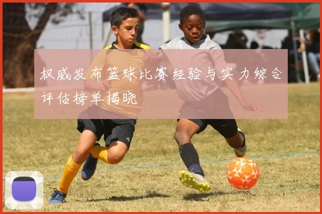 权威发布篮球比赛经验与实力综合评估榜单揭晓